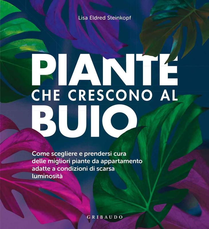 Piante che crescono al buio