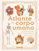 L'atlante del corpo umano