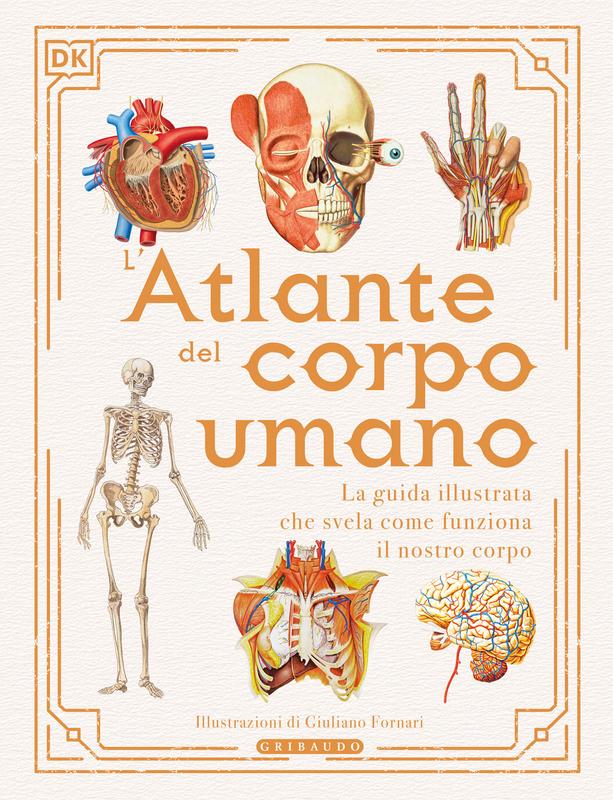 L'atlante del corpo umano