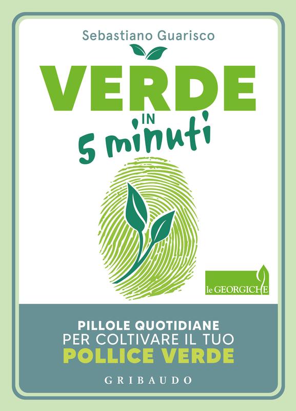 Verde in 5 minuti