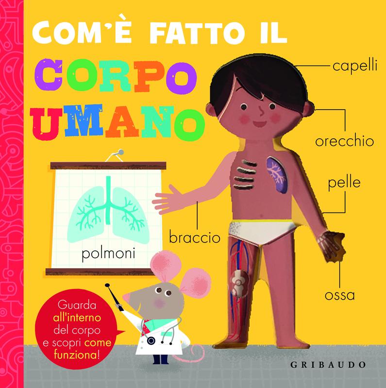 Com'è fatto il corpo umano